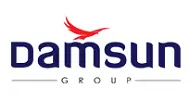 Damsun Group